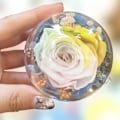 Miniatyrbild 6 av 7: Set med 5 fyllbara prydnadsbollar i klar plast - perfekt för DIY-hantverk S