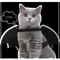 Miniatyrbillede 2 af 5: Halloween kostume Batman til hund/kat (størrelse L)
