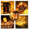 Miniatyrbild 6 av 9: INF LED Ljusslinga med Solcell - 10 meter 2-pack