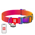 Miniatyrbild 2 av 4: Hundhalsband i nylon med QR-kod WAUDOG 15 mm bred, 25-35 cm lång orange