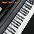 Miniatyrbillede 3 af 7: INF Aftagelige klaver- og keyboardetiketter 88 tangenter Hvid