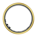Miniatyrbillede 7 af 7: Smartring Colmi R06 20,3MM 11 (Złoty)