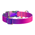 Miniatyrbild 4 av 5: Waudog gradient hundhalsband i nylon med QR-kod, lila, storlek L