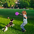 Miniatyrbild 5 av 5: Pop it Fidget Toy rund Lila