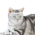 Miniatyrbillede 1 af 7: Kattekurv til trimning og behandling Hvid M