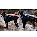 Miniatyrbillede 2 af 6: Klassisk grå hunde vinterfrakke 4XL
