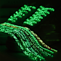 Miniatyrbillede 4 af 4: Glow-in-the-Dark snørebånd L