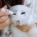 Miniatyrbild 2 av 4: Ögonmask för katter för grooming, sömn och ångestlindring M