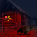 Miniatyrbillede 5 af 6: Solar Animal Repeller - Effektiv skadedyrsbekæmpelse