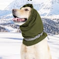 Miniatyrbillede 1 af 4: Beroligende hundehætte - Vandtæt & varm hundekrave i én græs farve L