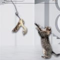Miniatyrbild 3 av 4: Interactive Cat feather teaser troll-leksak kattfjäderleksak med sugkopp Svart