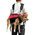 Miniatyrbillede 1 af 4: Pet Carrier rygsæk til små hunde og katte M
