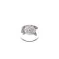 Miniatyrbild 3 av 9: POPSOCKETS Cat Nap Avtagbart Grip med Ställfunktion