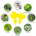 Miniatyrbild 7 av 10: INF 60-pack Flugfångare / Flugfälla / Klibbig insektsfälla Gul