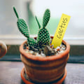 Miniatyrbild 5 av 5: Växtetiketter / Plantskyltar för Enkel Växtidentifiering - 100 pack Gul 10x2 cm