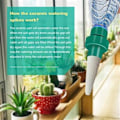 Miniatyrbild 5 av 5: 4 stycken/ set blomvattningsnaglar automatisk innehållertningsanordning automatiskt droppbevattningssystem