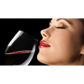 Miniatyrbild 5 av 5: Wine Aerator Magic Decanter Deluxe med Stativ Lyx Wine Decanter Decanter Wine Pourer