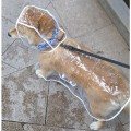 Miniatyrbild 5 av 5: Transparent Pet Regnkläder Valp Vattentät Regnjacka Kläder för hundar 1st (XL)
