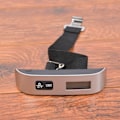 Miniatyrbild 3 av 5: Fishing Scale Hook Scale Handheld Express Travel Scale