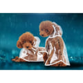 Miniatyrbild 3 av 5: Transparent Pet Regnkläder Valp Vattentät Regnjacka Kläder för hundar 1st (XL)