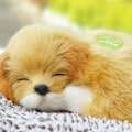 Miniatyrbilde 5 av 5: Bilpynt Bambuspose Luftrensende Aktivert Bambus Kull Lukteliminator For Biler Golden Retriever