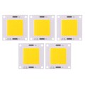 Miniatyrbillede 1 af 8: 5 stk/sæt Høj Effekt 50W COB LED-integreret lampchip til DIY-pære projektør (varmt lys)