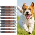 Miniatyrbild 8 av 8: 10 st 1,25 mm Pet Microchip Djuretikett Glasrör Chip Mini Lättvikt för identifiering