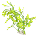 Miniatyrbillede 2 af 8: Plast Akvarium Simulering Tang Græs Kunstige Vandplanter Fiskekummer Landskabsdekoration med Hvid Base7945 Tang Græs Hvid Base