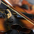 Miniatyrbillede 2 af 8: 4 i 1 Violinstrenge Gummi Dæmpet Lønnetræbro Tilbehørssæt til Rengøringsklud
