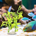 Miniatyrbillede 5 af 8: Plast Akvarium Simulering Tang Græs Kunstige Vandplanter Fiskekummer Landskabsdekoration med Hvid Base7945 Tang Græs Hvid Base