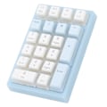Miniatyrbillede 6 af 8: 21 Tasters Numerisk Tastatur RGB Baggrundsbelyst Ergonomisk Lille Mekanisk Numpad Numerisk Tastatur til Bærbar Computer Blå og Hvid