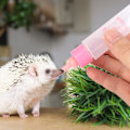 Miniatyrbillede 2 af 8: 2 STK 30 ml Hamsterplejeflaske Små kæledyr Hvalp Egern Killing Ammeflaske Vandmælk Feeder (Pink)
