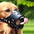 Miniatyrbillede 1 af 3: Justerbar Åndbar Blød Læder Hundekobbel til Små og Store Hunde - Sort
