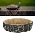 Miniatyrbillede 6 af 8: Reptil Vandskål Foder Skål Syntetisk Harpiks Rund Foder Gryde til Kæledyr til Skildpadde Padde