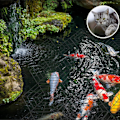 Miniatyrbillede 8 af 8: Diamantformet Sammenkoblingsbart Fiskenet Dammnet Fiskdammsnet
