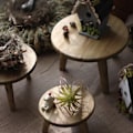 Miniatyrbild 3 av 8: Desktop Dekorativ förvaring Pall Balkong Blomsterställ Trä Blomkruka Stativ Trädgårdsprydnader Diverse Skytterekvisita