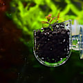 Miniatyrbillede 4 af 8: Transparent Akvarium Rød Orm Foder Sugkop Fisk Foderkop Beholder Akryl Crack Cup