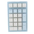 Miniatyrbillede 2 af 8: 21 Tasters Numerisk Tastatur RGB Baggrundsbelyst Ergonomisk Lille Mekanisk Numpad Numerisk Tastatur til Bærbar Computer Blå og Hvid