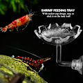 Miniatyrbillede 6 af 8: Akryl Akvarium Rejer Madskål Skål Bakke Vand Mad Skål Foder Skål
