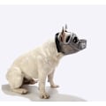 Miniatyrbillede 1 af 5: Justerbar Åndbar Bulldog Mave til Hunde med Kort Snout XS Grå
