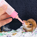 Miniatyrbillede 3 af 8: 2 STK 30 ml Hamsterplejeflaske Små kæledyr Hvalp Egern Killing Ammeflaske Vandmælk Feeder (Pink)