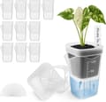 12-pack Self-Watering Plant Pots 5 cm – Transparent with Water Level Indicator and Drainage Holes, Includes 12 Labels.