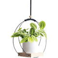 Miniatyrbild 1 av 4: Hängande planter med träbas, Macrame hängande växtkruka, Dekorativ blomkrukahållare, Växt hängande kruka för vägg, fönster, Boho black