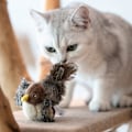 Miniatyrbild 4 av 5: Katt leksaker för inomhuskatter, interaktiv katt leksak med riktig kvittrande fågel elektroniskt ljud, katt fjäder leksaker med mjuk plysch lindra tristess
