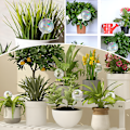 Miniatyrbild 2 av 5: 4 st växter Vattning Glober,  Iridescent Själv Vattning Planter Insert, Glas Växter Vattning Enheter för Inomhus och Utomhus Växter Tillbehör