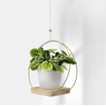 Miniatyrbild 1 av 4: Hängande planter med träbas, Macrame hängande växtkruka, Dekorativ blomkrukahållare, Växt hängande kruka för vägg, fönster, Boho gold