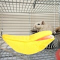 Miniatyrbild 5 av 5: Hamster hängande hus hängmatta banan design smådjur bomullsb Bur