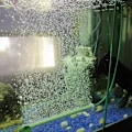Miniatyrbillede 4 af 5: 2 stk. luftbobler beluftningsrør akvarium væg luftdiffuser iltpumpe diffuser tilbehør til fiskebeholder 14”