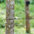 Miniatyrbillede 3 af 5: 2-delt sort rejse tøjline, udvidbar rejse tøjline