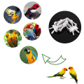 Miniatyrbild 2 av 4: 10 st Plastik Frukt & Grönsaksmatare för Parakiter, Kakaduor,